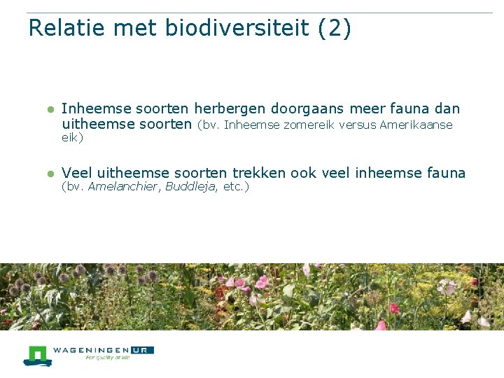 Relatie met biodiversiteit (2) l Inheemse soorten herbergen doorgaans meer fauna dan uitheemse soorten