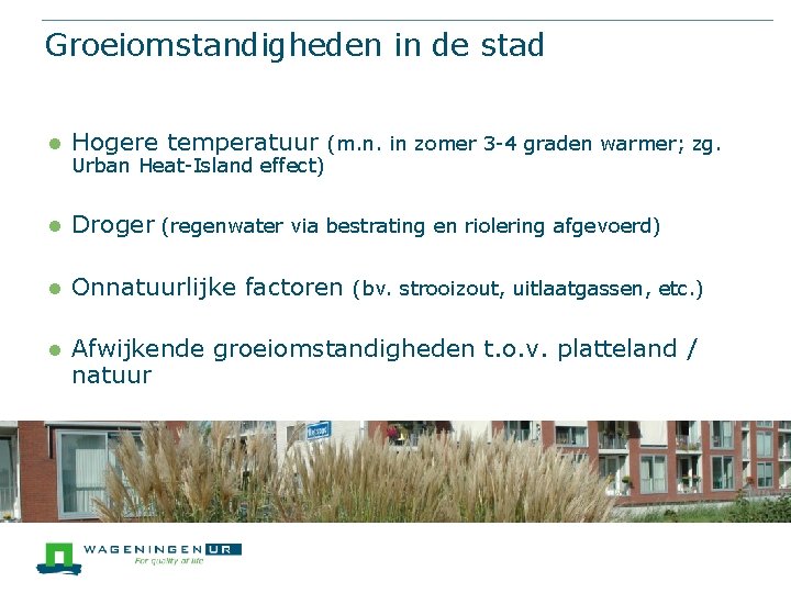 Groeiomstandigheden in de stad l Hogere temperatuur (m. n. in zomer 3 -4 graden