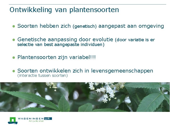 Ontwikkeling van plantensoorten l Soorten hebben zich (genetisch) aangepast aan omgeving l Genetische aanpassing