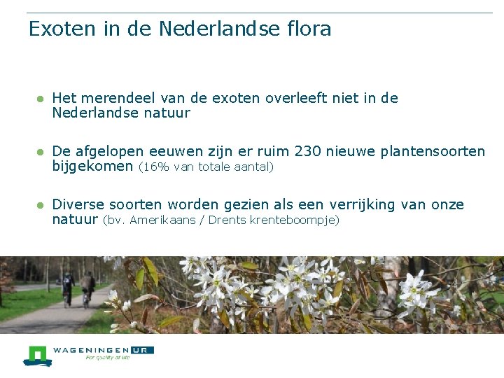 Exoten in de Nederlandse flora l Het merendeel van de exoten overleeft niet in