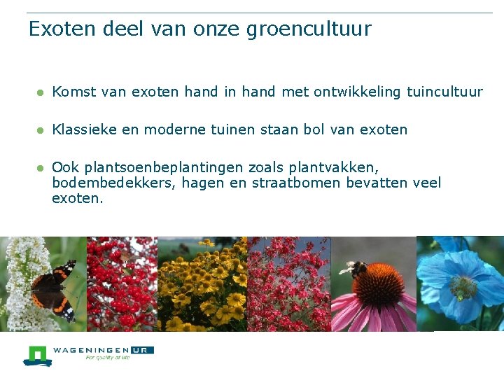 Exoten deel van onze groencultuur l Komst van exoten hand in hand met ontwikkeling