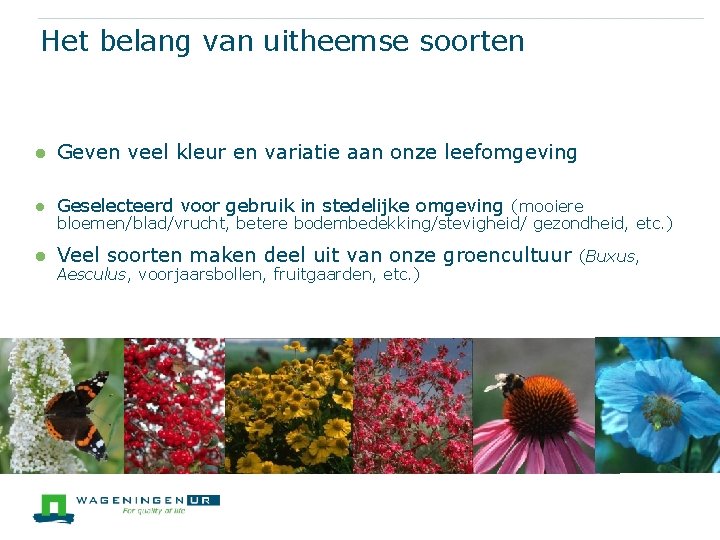 Het belang van uitheemse soorten l Geven veel kleur en variatie aan onze leefomgeving