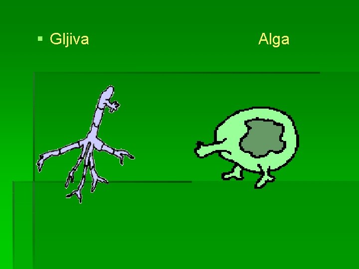 § Gljiva Alga 