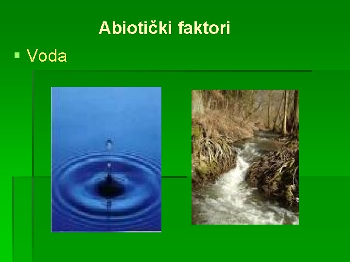 Abiotički faktori § Voda 