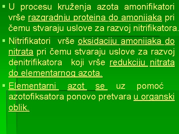 § U procesu kruženja azota amonifikatori vrše razgradnju proteina do amonijaka pri čemu stvaraju