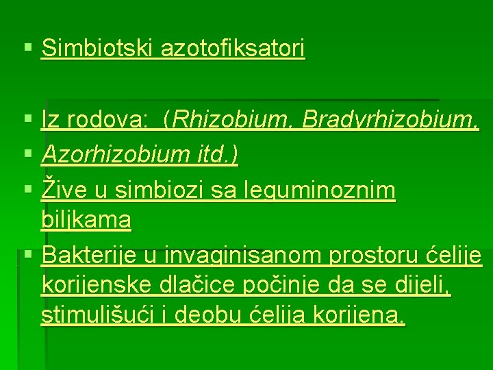 § Simbiotski azotofiksatori § Iz rodova: (Rhizobium, Bradyrhizobium, § Azorhizobium itd. ) § Žive