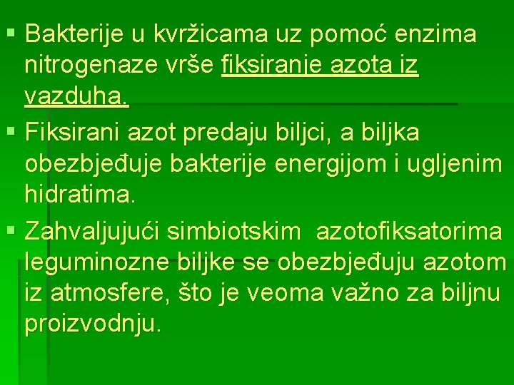 § Bakterije u kvržicama uz pomoć enzima nitrogenaze vrše fiksiranje azota iz vazduha. §