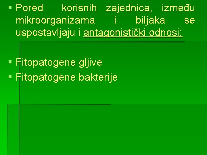 § Pored korisnih zajednica, između mikroorganizama i biljaka se uspostavljaju i antagonistički odnosi: §