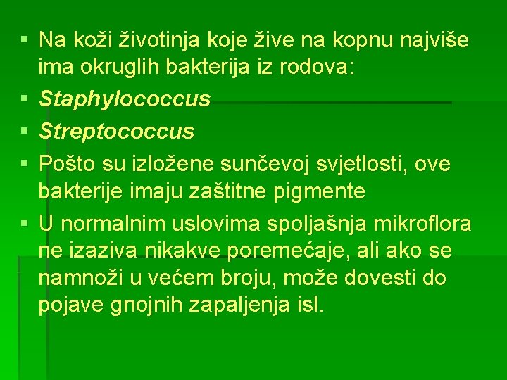 § Na koži životinja koje žive na kopnu najviše ima okruglih bakterija iz rodova: