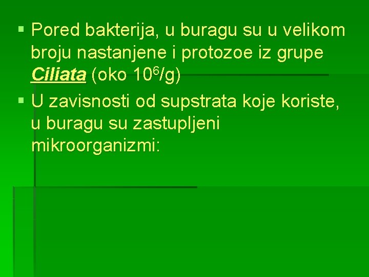 § Pored bakterija, u buragu su u velikom broju nastanjene i protozoe iz grupe