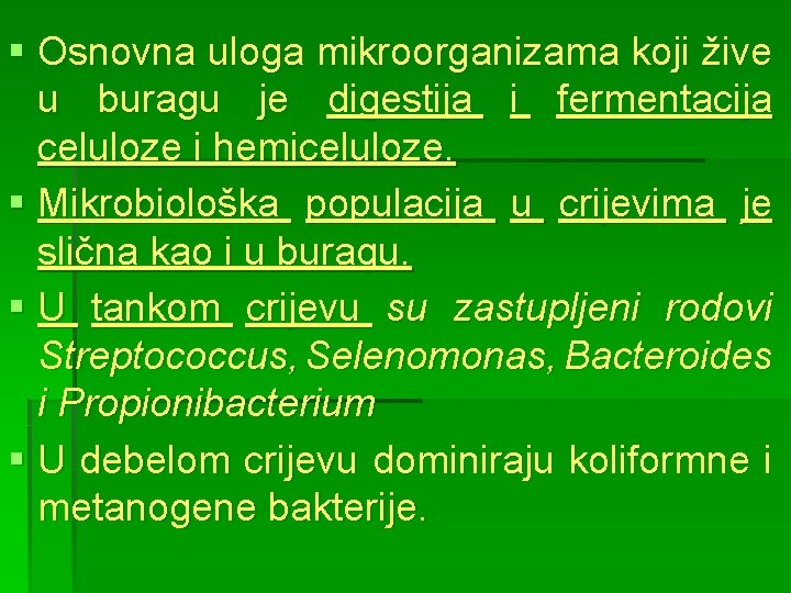 § Osnovna uloga mikroorganizama koji žive u buragu je digestija i fermentacija celuloze i