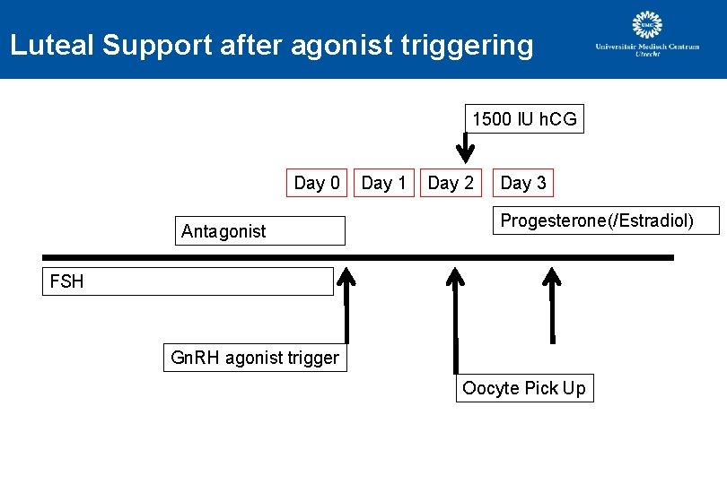 Luteal Support after agonist triggering 1500 IU h. CG Day 0 Antagonist Day 1 Luteal Support after agonist triggering 1500 IU h. CG Day 0 Antagonist Day 1