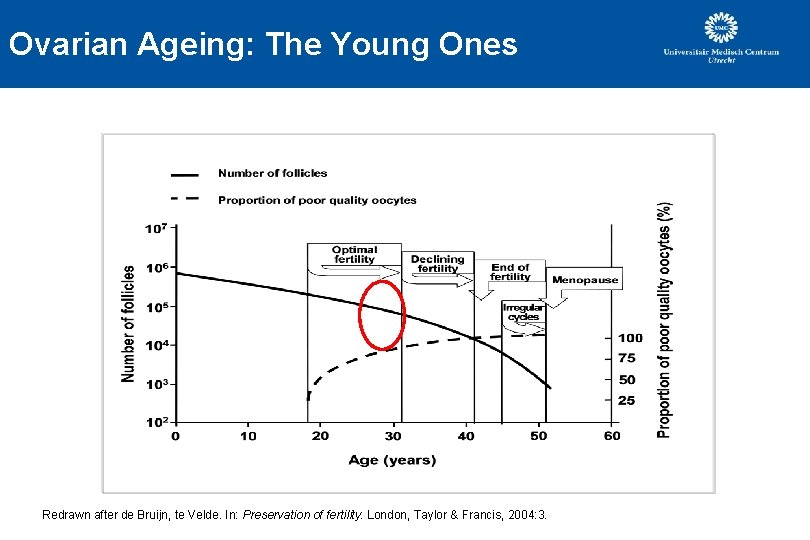 Ovarian Ageing: The Young Ones Redrawn after de Bruijn, te Velde. In: Preservation of Ovarian Ageing: The Young Ones Redrawn after de Bruijn, te Velde. In: Preservation of