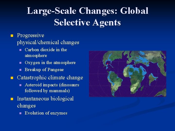 Large-Scale Changes: Global Selective Agents n Progressive physical/chemical changes n n Catastrophic climate change