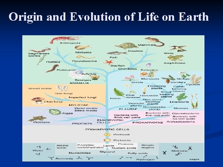 Origin and Evolution of Life on Earth 