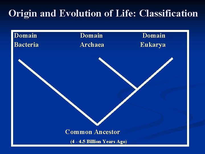 Origin and Evolution of Life: Classification Domain Bacteria Domain Archaea Common Ancestor (4 -