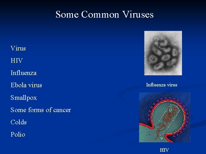 Some Common Viruses Virus HIV Influenza Ebola virus Influenza virus Smallpox Some forms of