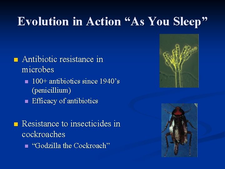 Evolution in Action “As You Sleep” n Antibiotic resistance in microbes n n n