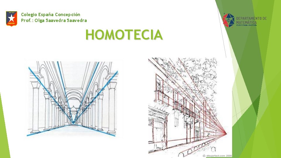 Colegio España Concepción Prof. : Olga Saavedra HOMOTECIA 