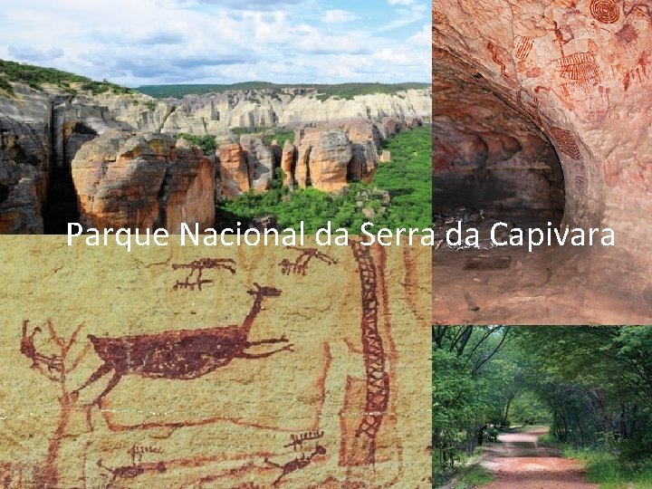 Parque Nacional da Serra da Capivara 