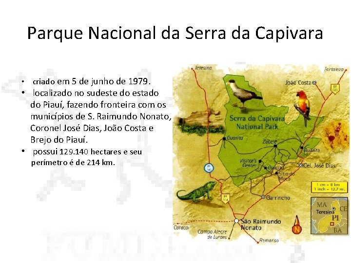 Parque Nacional da Serra da Capivara • criado em 5 de junho de 1979.