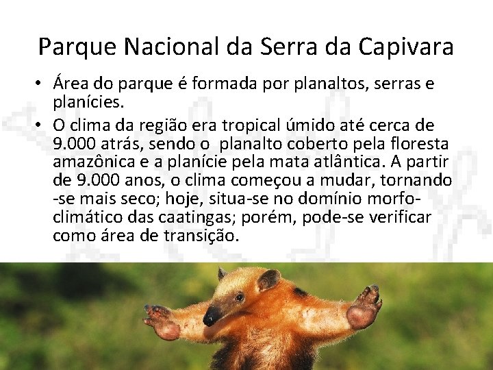 Parque Nacional da Serra da Capivara • Área do parque é formada por planaltos,