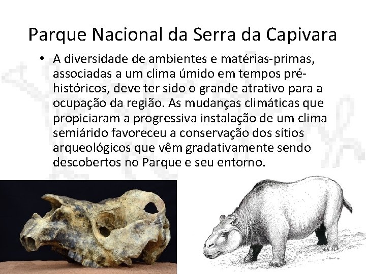 Parque Nacional da Serra da Capivara • A diversidade de ambientes e matérias-primas, associadas