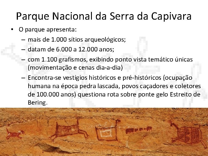 Parque Nacional da Serra da Capivara • O parque apresenta: – mais de 1.