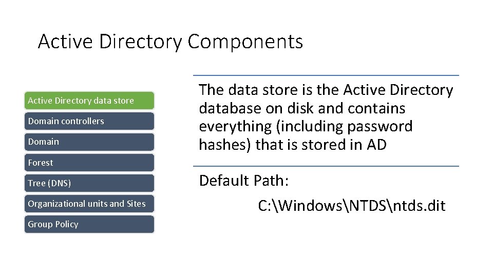 Active Directory Components Active Directory data store Domain controllers Domain The data store is Active Directory Components Active Directory data store Domain controllers Domain The data store is