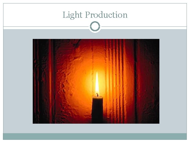 Light Production 