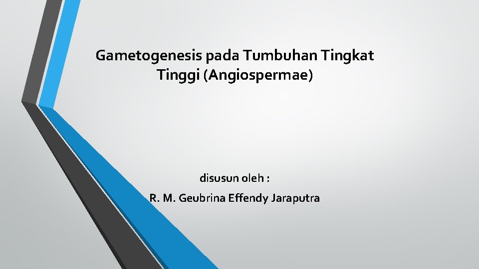 Gametogenesis pada Tumbuhan Tingkat Tinggi (Angiospermae) disusun oleh : R. M. Geubrina Effendy Jaraputra