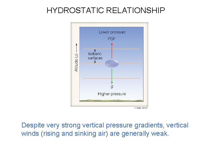 HYDROSTATIC RELATIONSHIP Despite very strong vertical pressure gradients, vertical winds (rising and sinking air) HYDROSTATIC RELATIONSHIP Despite very strong vertical pressure gradients, vertical winds (rising and sinking air)