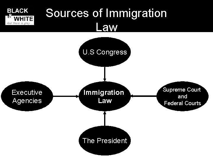 Sources of Immigration Law U. S Congress Executive Agencies Immigration Law The President Supreme