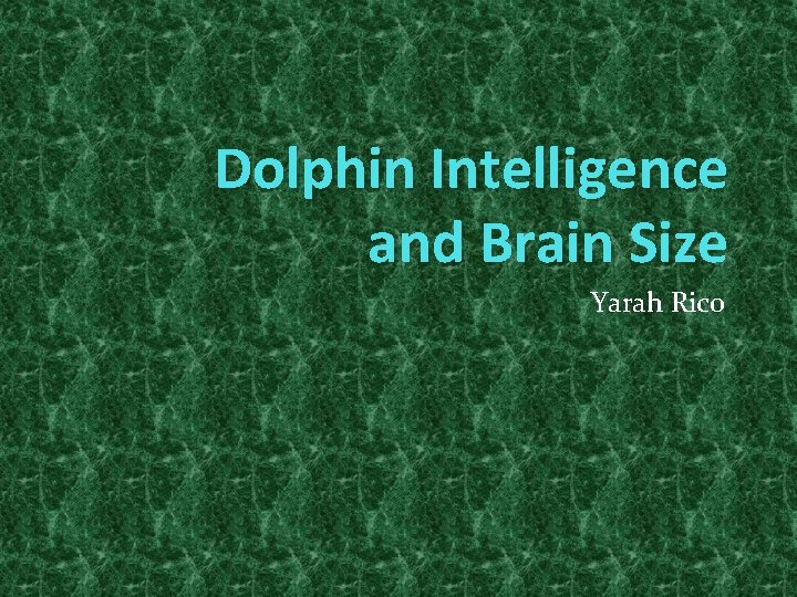 Dolphin Intelligence and Brain Size Yarah Rico 