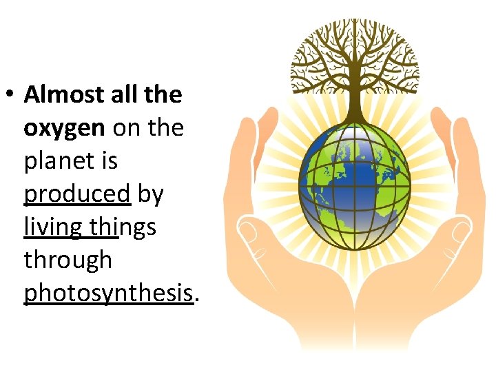 • Almost all the oxygen on the planet is produced by living things