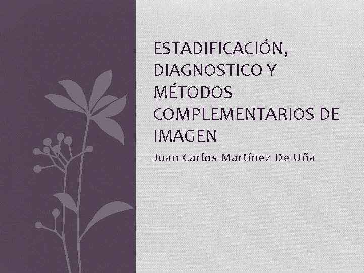ESTADIFICACIÓN, DIAGNOSTICO Y MÉTODOS COMPLEMENTARIOS DE IMAGEN Juan Carlos Martínez De Uña 
