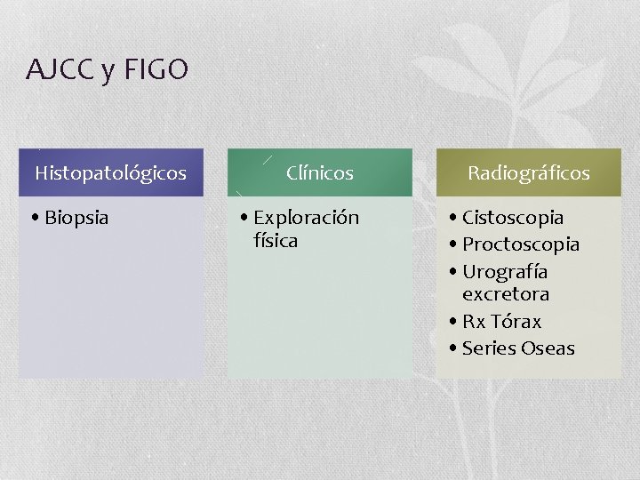 AJCC y FIGO Histopatológicos • Biopsia Clínicos • Exploración física Radiográficos • Cistoscopia •