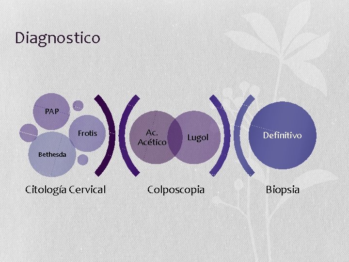 Diagnostico PAP Frotis Ac. Acético Lugol Definitivo Bethesda Citología Cervical Colposcopia Biopsia 