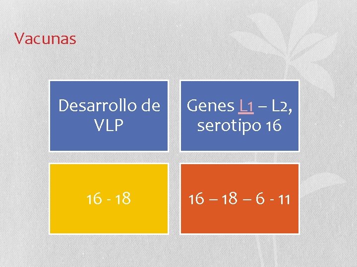 Vacunas Desarrollo de VLP Genes L 1 – L 2, serotipo 16 16 -