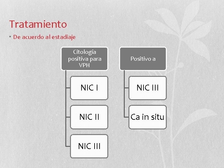 Tratamiento • De acuerdo al estadiaje Citología positiva para VPH Positivo a NIC III