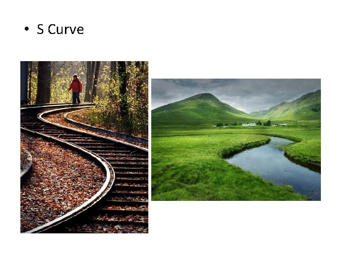  • S Curve 