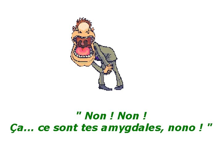 " Non ! Ça. . . ce sont tes amygdales, nono ! " 