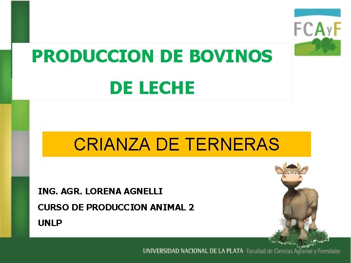 PRODUCCION DE BOVINOS DE LECHE CRIANZA DE TERNERAS ING. AGR. LORENA AGNELLI CURSO DE