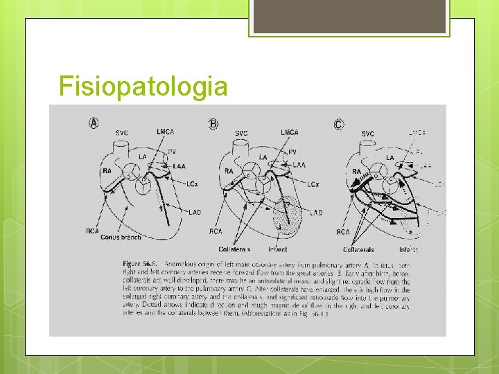 Fisiopatologia 