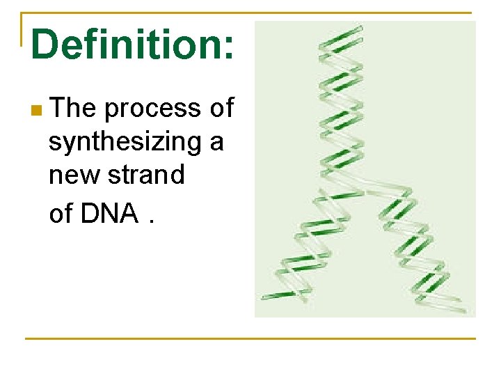 Definition: n The process of synthesizing a new strand of DNA. 