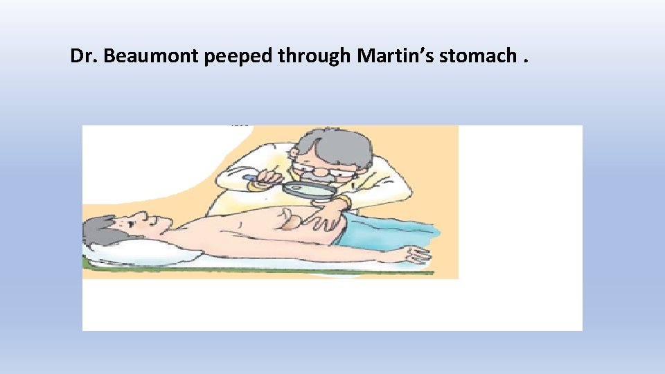 Dr. Beaumont peeped through Martin’s stomach. 