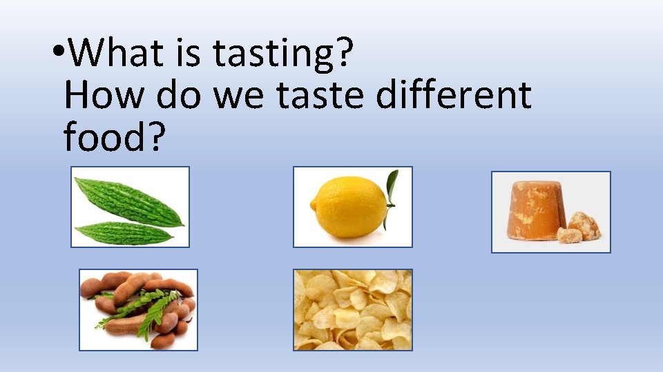  • What is tasting? How do we taste different food? 