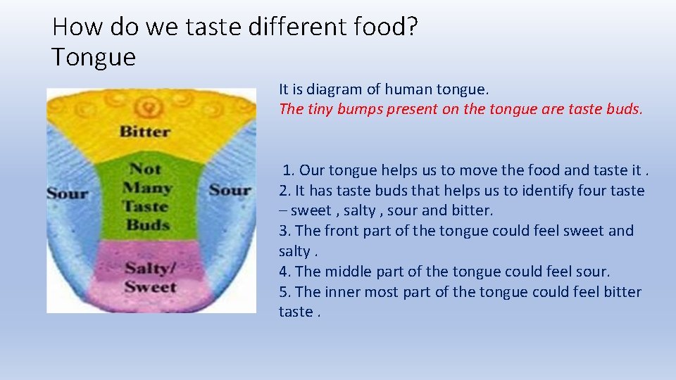 How do we taste different food? Tongue It is diagram of human tongue. The