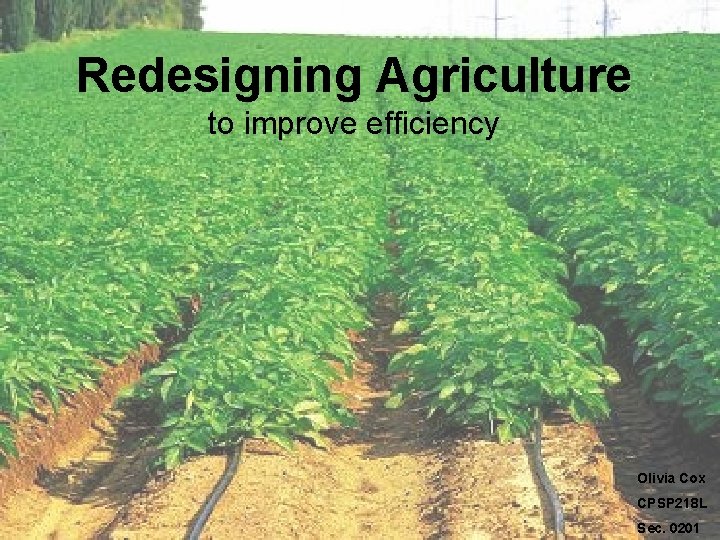 Redesigning Agriculture to improve efficiency Olivia Cox CPSP 218 L Sec. 0201 