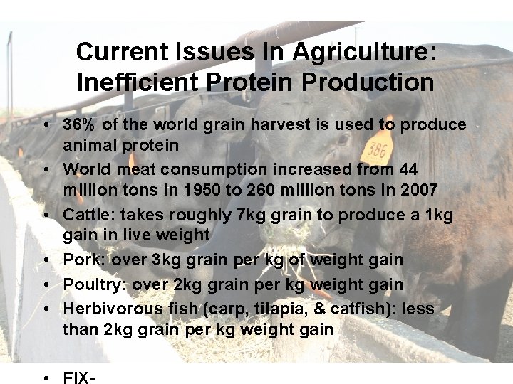 Current Issues In Agriculture: Inefficient Protein Production • 36% of the world grain harvest